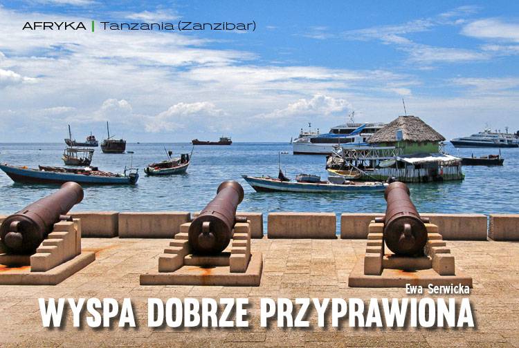 Losowy darmowy artykuł